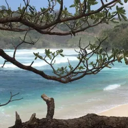 Nglirip Beach - Tulungagung