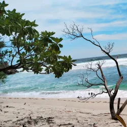 Nglirip Beach - Tulungagung