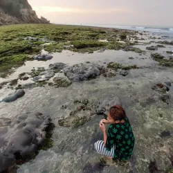 Nglirip Beach - Tulungagung