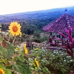 Puncak Serut - Tulungagung