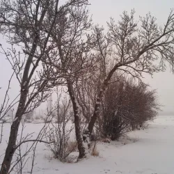 Abhar Jame Mosque - Abhar