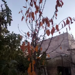 Mountains Surrounding Abhar - Abhar