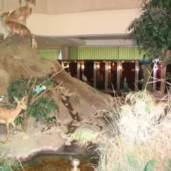 Ahvaz Museum of Anthropology - Ahvaz