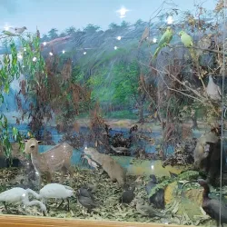 Ahvaz Museum of Anthropology - Ahvaz