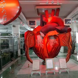 Ahvaz Museum of Anthropology - Ahvaz