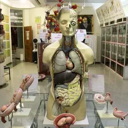 Ahvaz Museum of Anthropology - Ahvaz