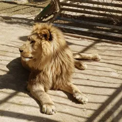 Ahvaz Zoo - Ahvaz