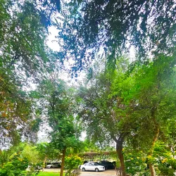 Jundishapur University Archaeological Site - Ahvaz