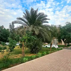 Jundishapur University Archaeological Site - Ahvaz