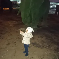 Sheikh Khazal Park - Ahvaz