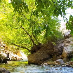 Absefid Waterfall - Aligudarz