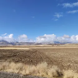 Aligudarz Bazaar - Aligudarz