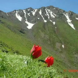 Lorestan Traditional Houses - Aligudarz