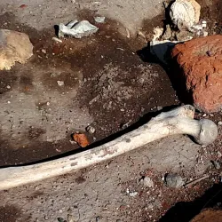 Jameh Mosque of Ardabil - Ardabil