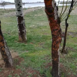 Shorabil Lake and Park - Ardabil