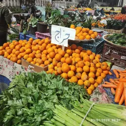 Babol Bazaar - Babol