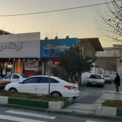 Mazandaran Rice Fields - Babol