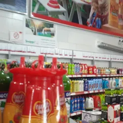 Mazandaran Rice Fields - Babol