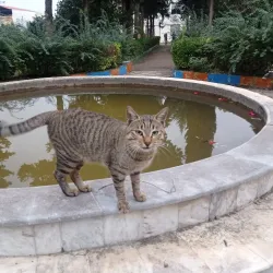 Shahid Rajaee University - Babol