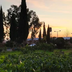 Shahid Rajaee University - Babol