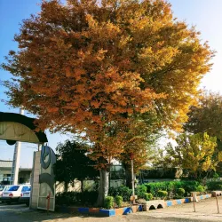 Shahid Rajaee University - Babol