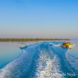 Mangrove Forests near Bandar-e Mahshahr - Bandar-e Mahshahr