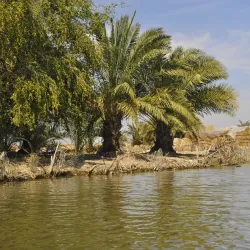 Shadegan Wetland (Shadegan Pond) - Bandar-e Mahshahr
