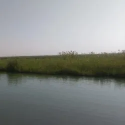 Shadegan Wetland (Shadegan Pond) - Bandar-e Mahshahr