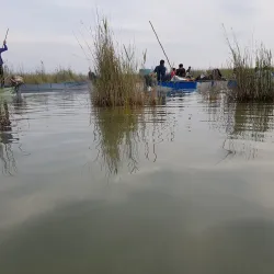 Shadegan Wetland (Shadegan Pond) - Bandar-e Mahshahr