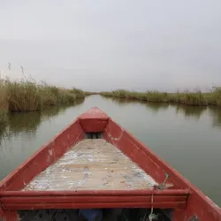 Shadegan Wetland (Shadegan Pond) - Bandar-e Mahshahr