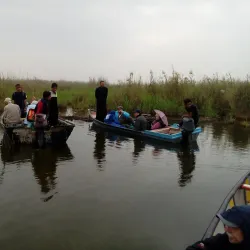 Shadegan Wetland (Shadegan Pond) - Bandar-e Mahshahr