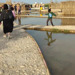 Shadegan Wetland (Shadegan Pond) - Bandar-e Mahshahr