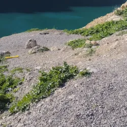 Behbahan Palm Groves - Behbahan