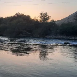 Behbahan Palm Groves - Behbahan