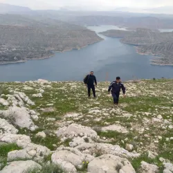 Behbahan Palm Groves - Behbahan