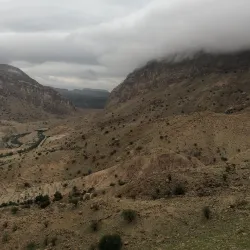 Behbahan Palm Groves - Behbahan
