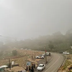 Behbahan Palm Groves - Behbahan