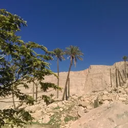 Behbahan Palm Groves - Behbahan