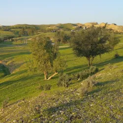 Behbahan River - Behbahan