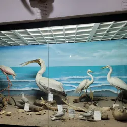 Shah Abbasi Caravanserai - Behbahan