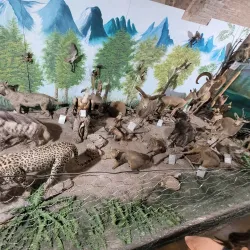 Shah Abbasi Caravanserai - Behbahan