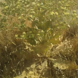 Atrak River - Bojnord