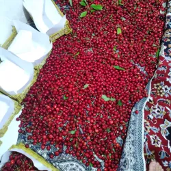 Bojnord Bazaar - Bojnord