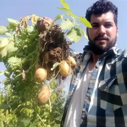 Bojnord Bazaar - Bojnord