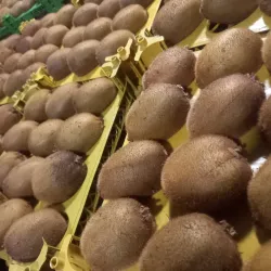 Bojnord Bazaar - Bojnord