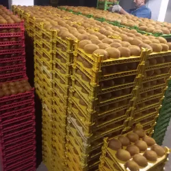 Bojnord Bazaar - Bojnord