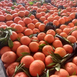 Bojnord Bazaar - Bojnord