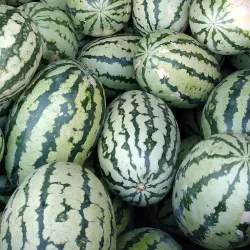 Bojnord Bazaar - Bojnord