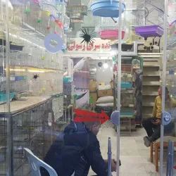 Borujerd Bazaar - Borujerd