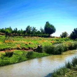 Gelerood River - Borujerd